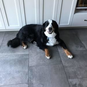 Meet your Posher, Tammy